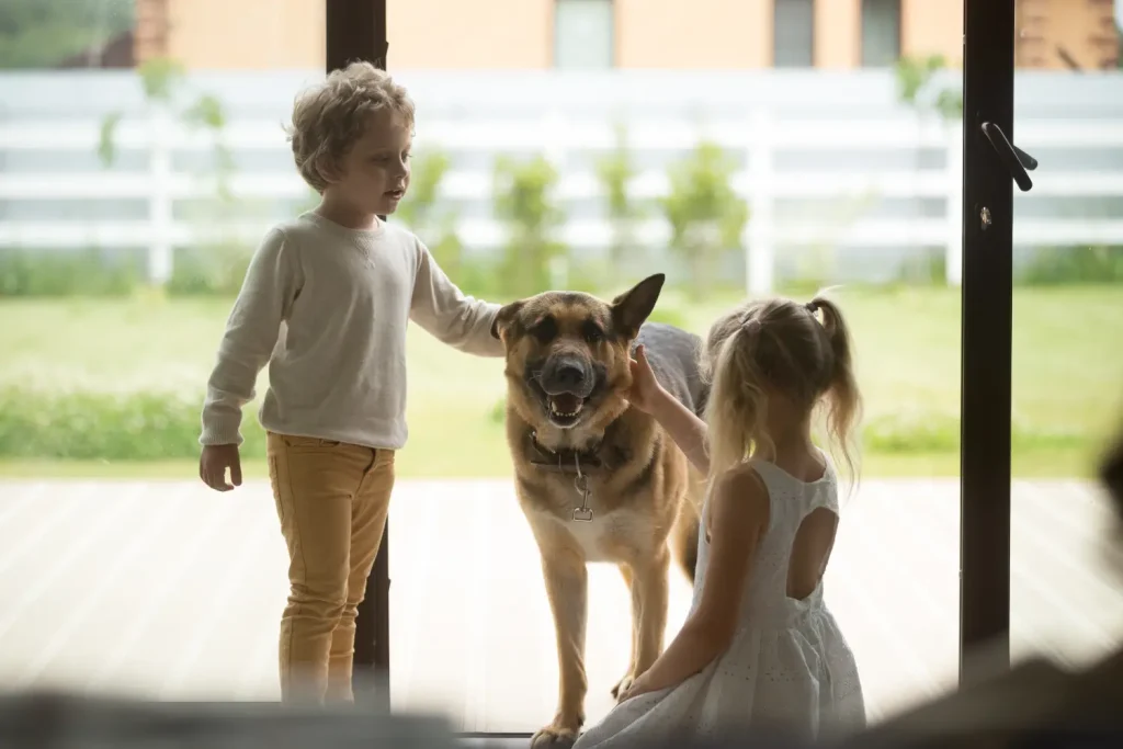 Ce Pot Învăța Copiii din Interacțiunea cu Animalele de Companie