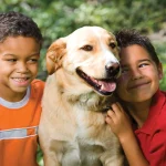 Impactul deținerii unui animal de companie asupra responsabilității și empatiei copiilor